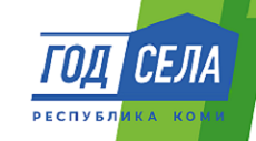 Год села в Республике Коми